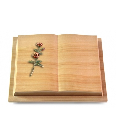 Livre Podest/Rainbow Rose 6 (Color)