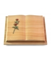 Livre Podest/Rainbow Rose 6 (Color)